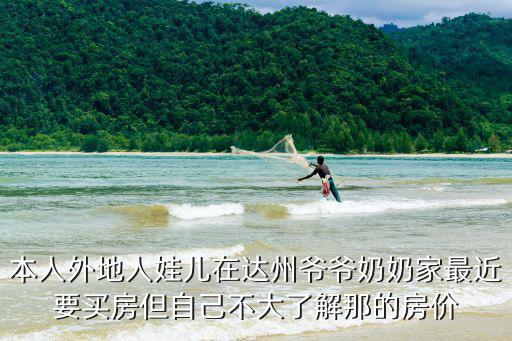 本人外地人娃兒在達州爺爺奶奶家最近要買房但自己不大了解那的房價