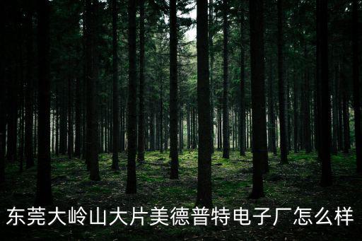 東莞大嶺山大片美德普特電子廠怎么樣
