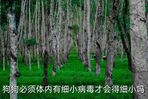 狗狗必須體內(nèi)有細(xì)小病毒才會(huì)得細(xì)小嗎