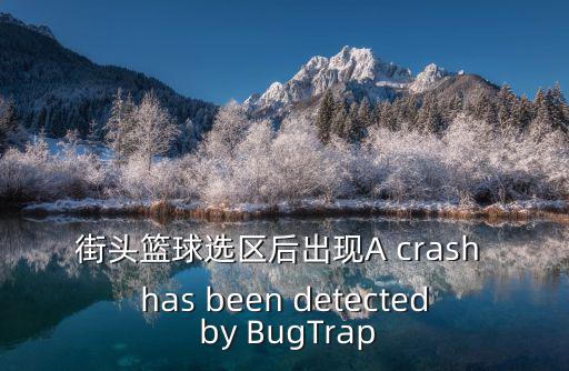 街頭籃球選區后出現A crash has been detected by BugTrap