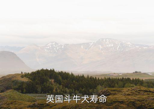 英國(guó)斗牛犬能活多少年，英國(guó)斗牛犬壽命