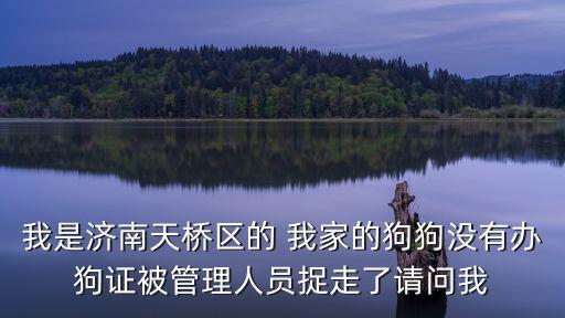 我是濟南天橋區(qū)的 我家的狗狗沒有辦狗證被管理人員捉走了請問我