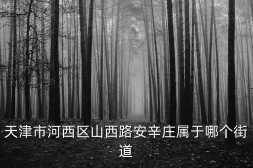 天津市河西區(qū)山西路安辛莊屬于哪個街道