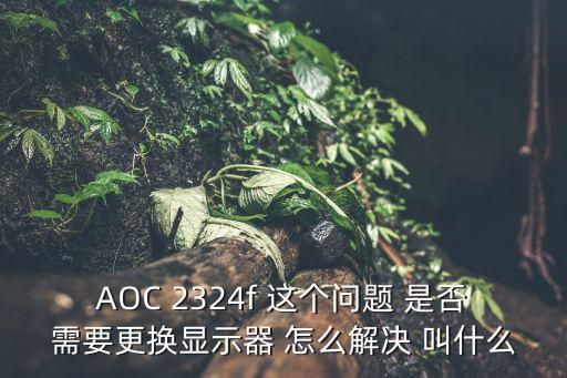 AOC 2324f 這個問題 是否需要更換顯示器 怎么解決 叫什么