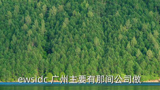 廣州誠邁信息技術有限公司，誰說說誠邁主流發展方向