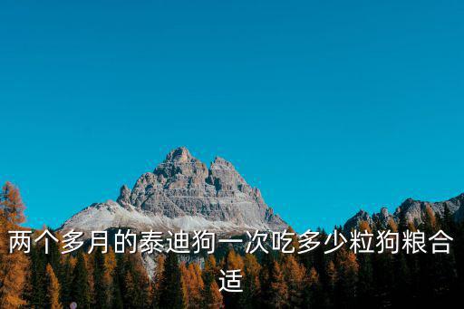 兩個多月的泰迪狗一次吃多少粒狗糧合適