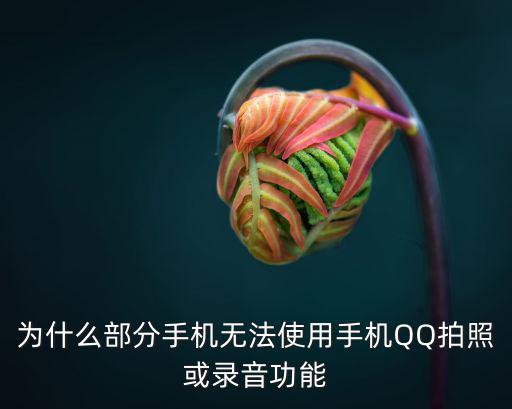 為什么部分手機無法使用手機QQ拍照或錄音功能
