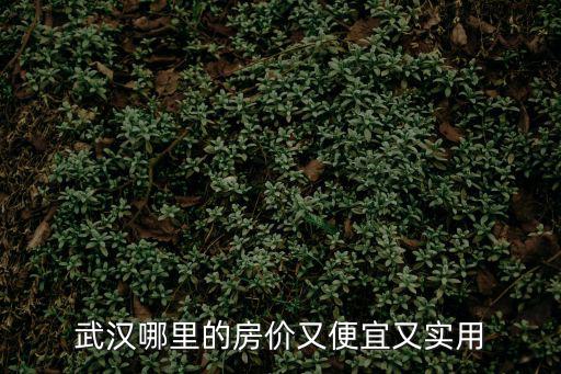 武漢哪個區的房價值得買，武漢哪里的房價又便宜又實用