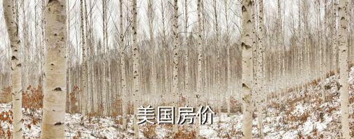 美國房價