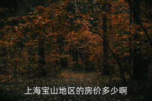 上海寶山地區的房價多少啊