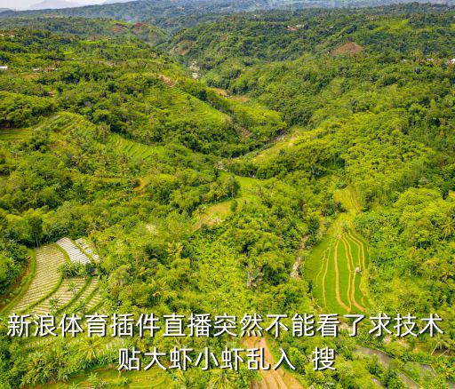 新浪體育插件直播突然不能看了求技術貼大蝦小蝦亂入  搜