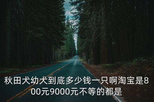 秋邊犬幼犬多少錢，在日本秋天犬賣多少錢相當(dāng)于人民幣的多少