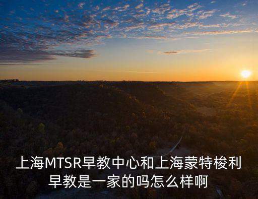 上海MTSR早教中心和上海蒙特梭利早教是一家的嗎怎么樣啊