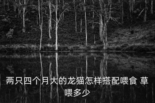 兩只四個(gè)月大的龍貓?jiān)鯓哟钆湮故?草喂多少
