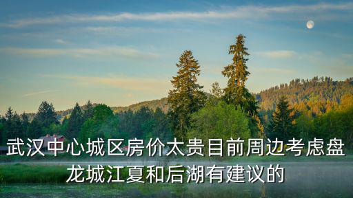 武漢中心城區房價太貴目前周邊考慮盤龍城江夏和后湖有建議的