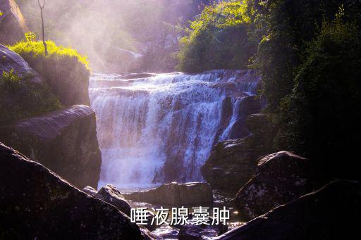 唾液腺囊腫