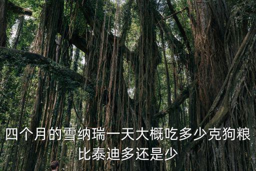 四個月的雪納瑞一天大概吃多少克狗糧比泰迪多還是少