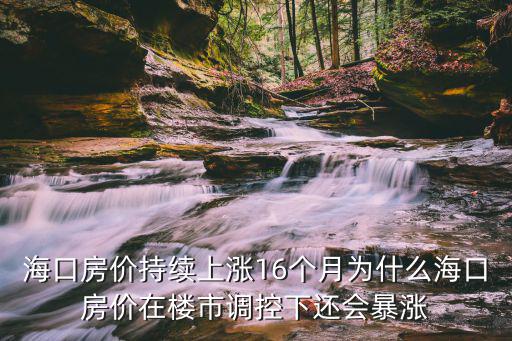 海口房價持續上漲16個月為什么海口房價在樓市調控下還會暴漲