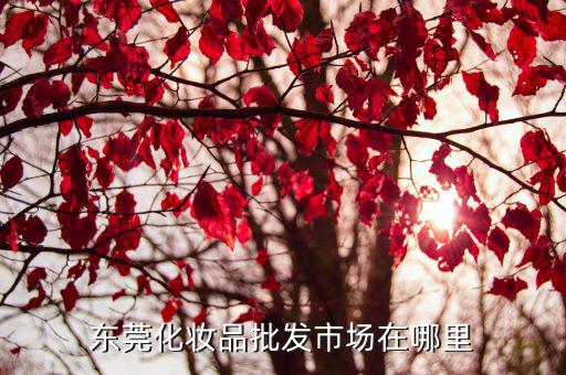 東莞進口化妝品批發，東莞深圳廣州進口化妝品批發地址