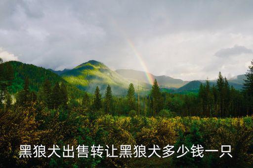 墨犬黑狼多少錢，黑狼犬出售轉讓黑狼犬多少錢一只