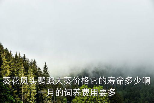 葵花鳳頭鸚鵡大葵價格它的壽命多少啊一月的飼養費用要多