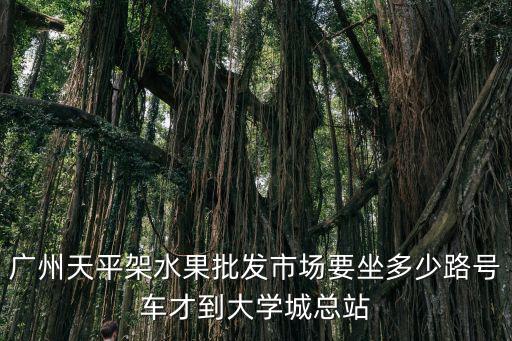 廣州天平架水果批發市場要坐多少路號車才到大學城總站