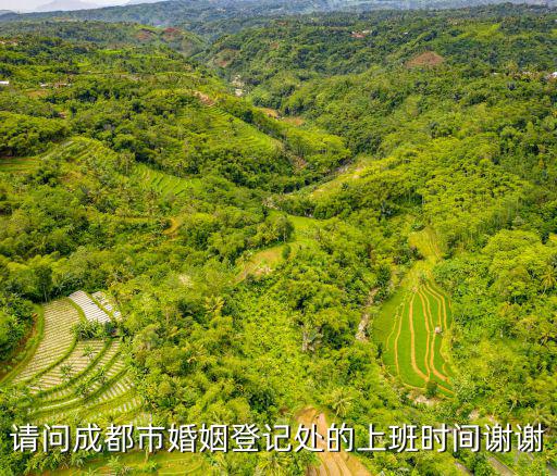 成都市婚姻登記信息聯(lián)網(wǎng)時(shí)間，有人知道婚姻登記是什么時(shí)間全國(guó)聯(lián)網(wǎng)嗎