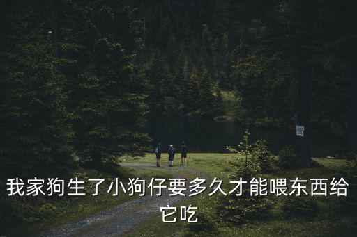 我家狗生了小狗仔要多久才能喂東西給它吃