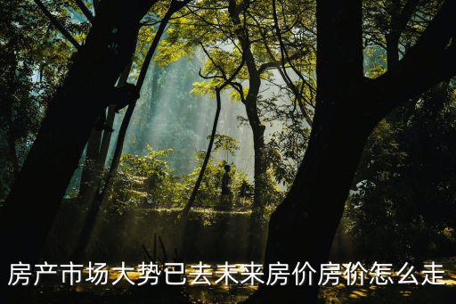 房產(chǎn)市場(chǎng)大勢(shì)已去未來(lái)房?jī)r(jià)房?jī)r(jià)怎么走