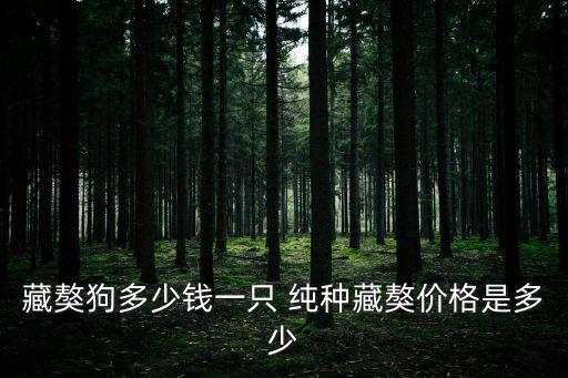 藏獒狗多少錢一只 純種藏獒價格是多少
