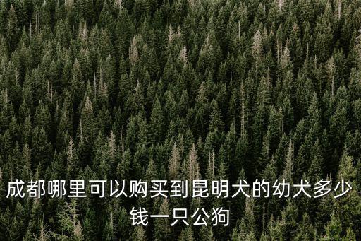 成都哪里可以購買到昆明犬的幼犬多少錢一只公狗