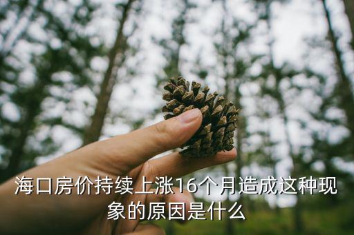 海口房價持續上漲16個月造成這種現象的原因是什么