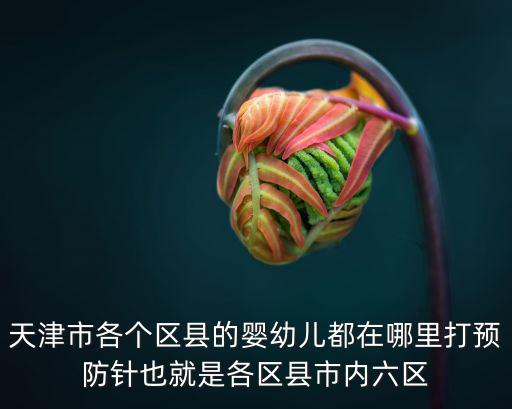 天津市小東莊預防針幾號有，天津哪個醫院可以打疫苗