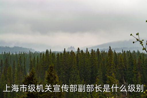 上海市宣傳部處長，上海市級機關宣傳部副部長是什么級別