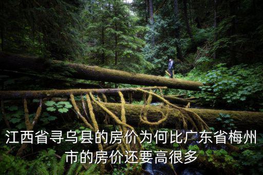 江西省尋烏縣的房價為何比廣東省梅州市的房價還要高很多