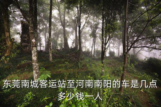 東莞南城客運(yùn)站至河南南陽的車是幾點(diǎn)多少錢一人