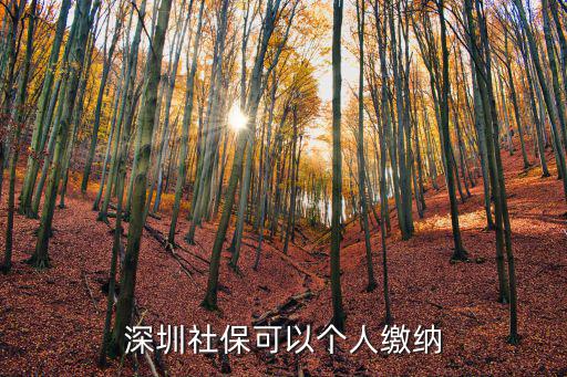 深圳市個人繳納社保繳費，深圳社?？梢詡€人繳納