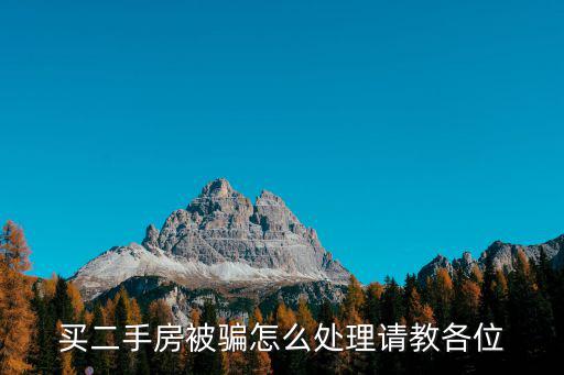買二手房被騙怎么處理請教各位