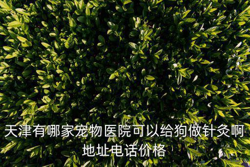 天津有哪家寵物醫(yī)院可以給狗做針灸啊地址電話價(jià)格