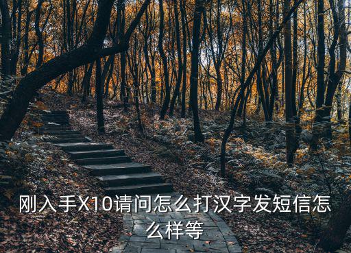 中控智慧x10怎么打中文，剛?cè)胧諼10請(qǐng)問怎么打漢字發(fā)短信怎么樣等