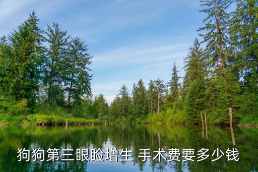 狗的眼睛做手術(shù)多少錢(qián)，狗狗眼睛被貓抓穿孔治療多少錢(qián)