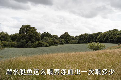 冰凍血蟲喂食的量是多少，4只長10cm的六角恐龍喂幾格凍紅蟲好