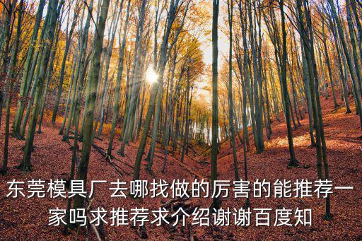東莞模具廠去哪找做的厲害的能推薦一家嗎求推薦求介紹謝謝百度知