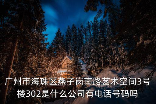 廣州市海珠區燕子崗南路藝術空間3號樓302是什么公司有電話號碼嗎