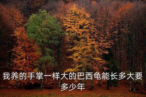 我養的手掌一樣大的巴西龜能長多大要多少年