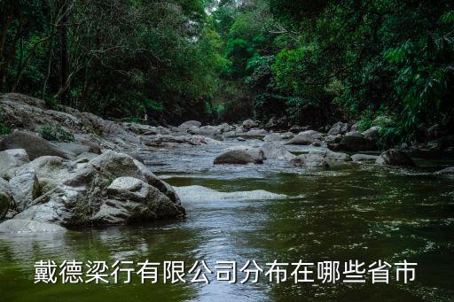 戴德梁行有限公司分布在哪些省市