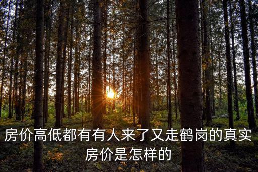 房價高低都有有人來了又走鶴崗的真實房價是怎樣的