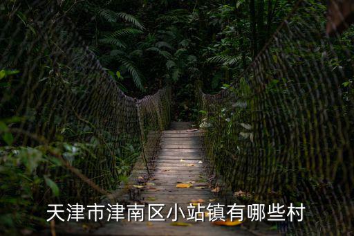 天津市津南區小站鎮有哪些村