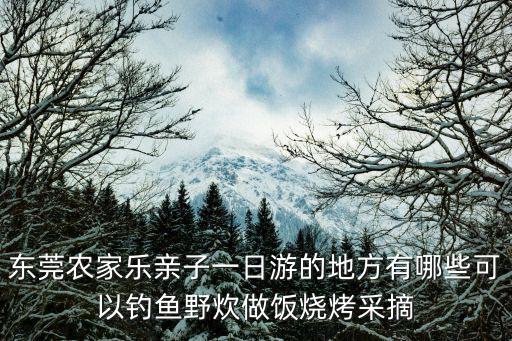 東莞農家樂親子一日游的地方有哪些可以釣魚野炊做飯燒烤采摘