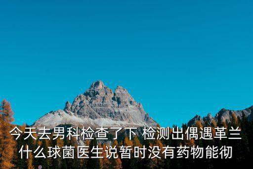 男科儀器治療一次一千，今天去男科檢查了下 檢測(cè)出偶遇革蘭什么球菌醫(yī)生說(shuō)暫時(shí)沒(méi)有藥物能徹